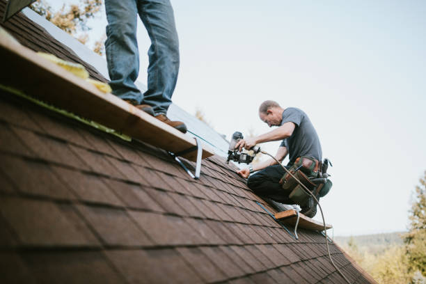 Best Roof Maintenance Services  in Wesson, MS