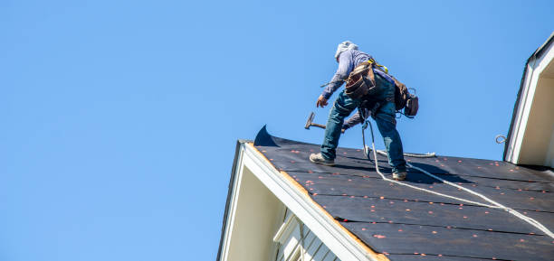 Best Roof Gutter Cleaning  in Wesson, MS
